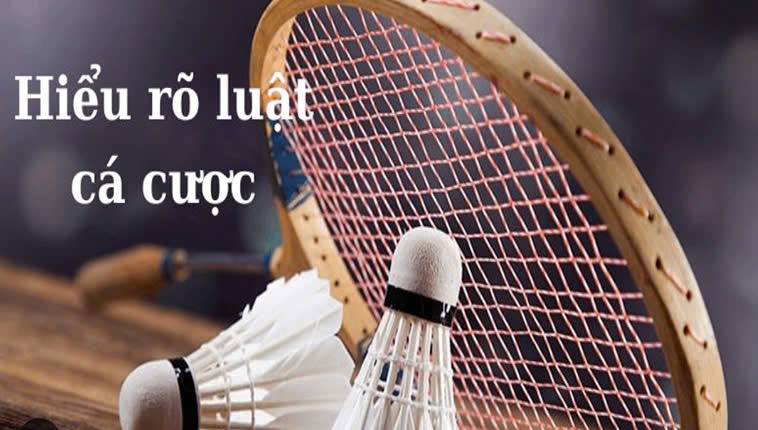 Cách Chơi Cá Cược Cầu Lông Tại Sodo66: Hướng Dẫn Chi Tiết 2 Cách Chơi Cá Cược Cầu Lông Tại Sodo66: Hướng Dẫn Chi Tiết