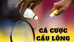 Cách Chơi Cá Cược Cầu Lông Tại Sodo66: Hướng Dẫn Chi Tiết