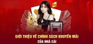 Hoàn Trả Không Giới Hạn Tại Nhà Cái Sodo66: Ưu Đãi Thả Ga